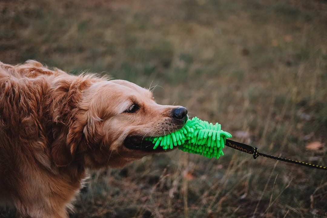 Dingo Angelrute Spielzeug mit Schnur 130 cm und austauschbaren Spitzen Mop Grün+Wolle Quietsche, Mop