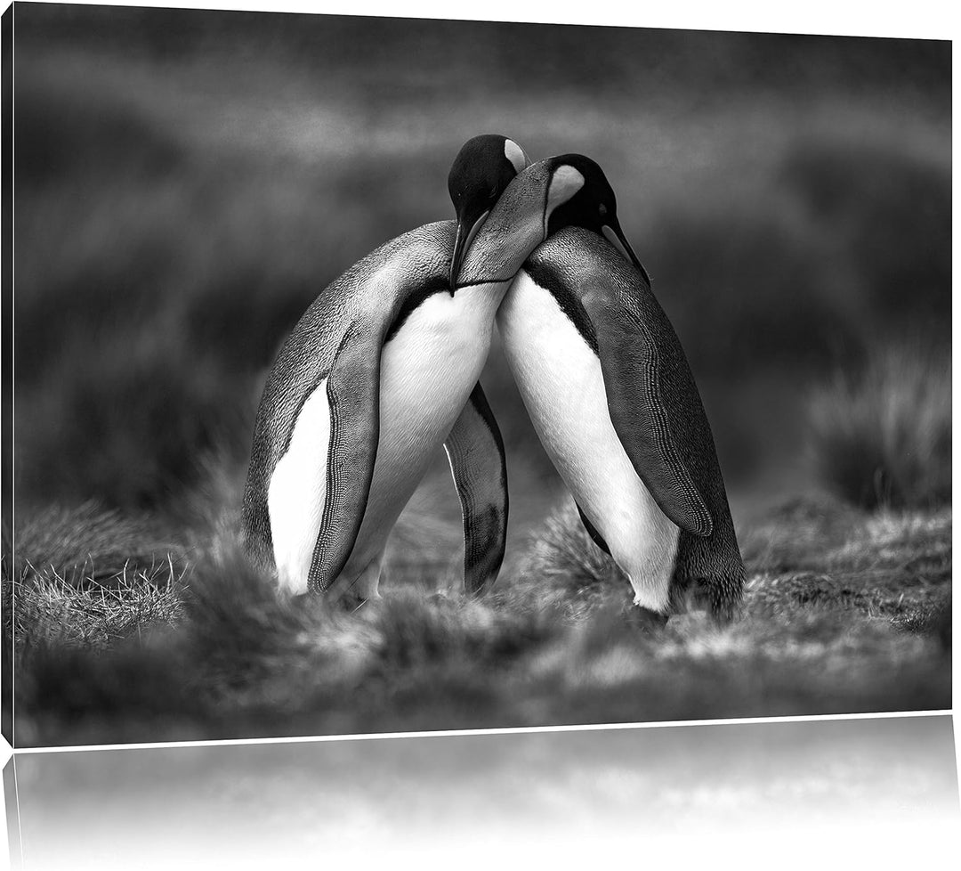 Pinguine in der Antarktis als Leinwandbild/Grösse: 100x70 / Wandbild/Kunstdruck/fertig bespannt, 100