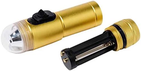Best Divers AI0380 Strobo Pulsar, Strobe und Licht, 300 Lumen, Gold