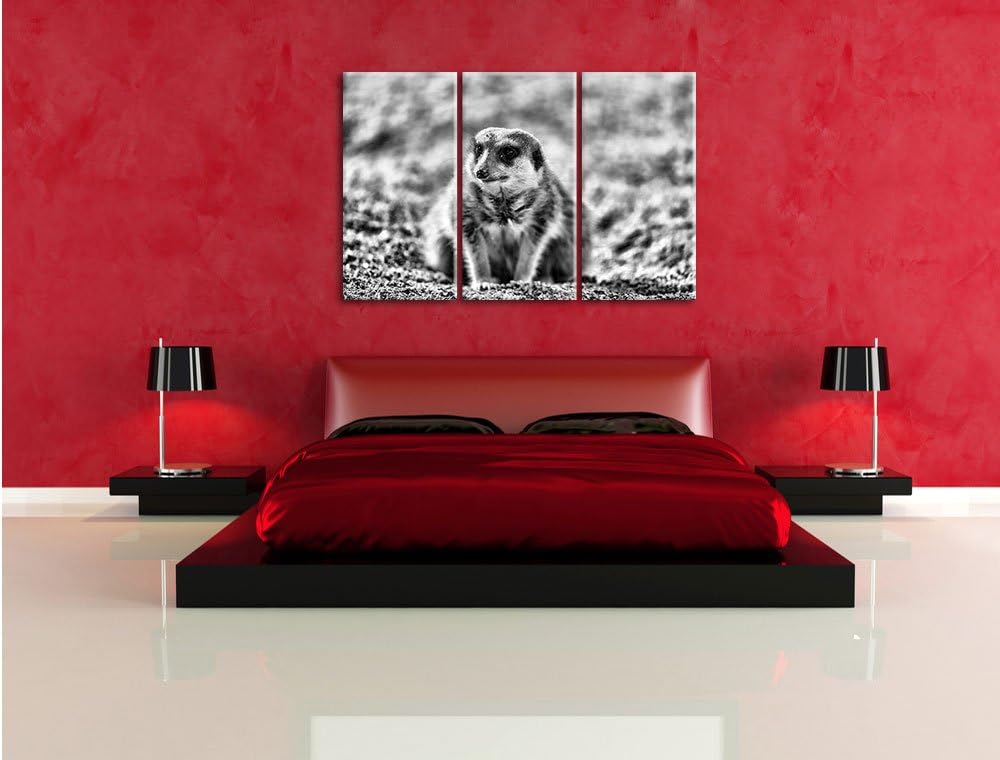 Pixxprint schüchternes Erdmännchen als Leinwandbild | Grösse: 3 Teilig (120x80) | Wandbild| Kunstdru