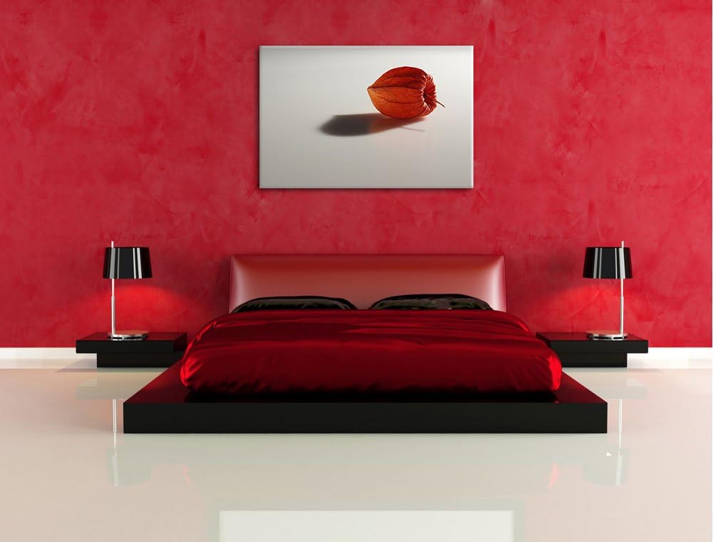 Pixxprint kleine Physalis auf Leinwand, XXL riesige Bilder fertig gerahmt mit Keilrahmen, Kunstdruck