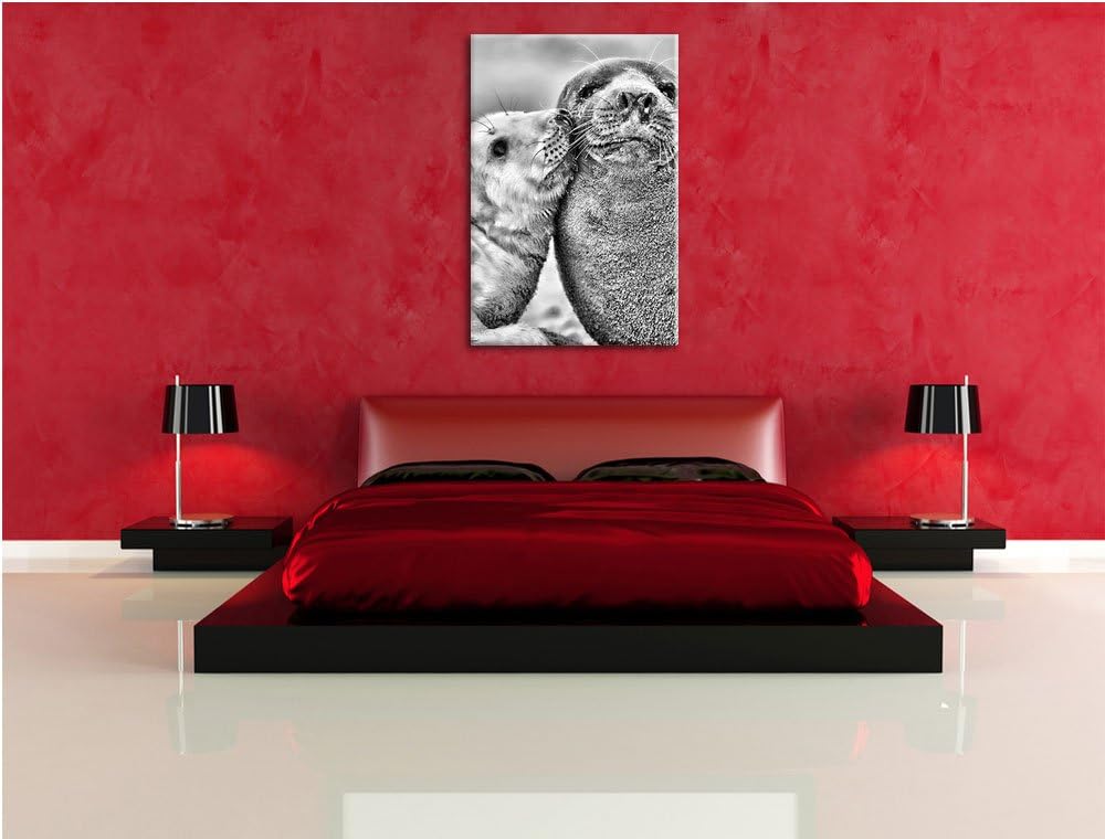 Pixxprint Schmusende Robben als Leinwandbild/Grösse: 100x70 / Wandbild/Kunstdruck/fertig bespannt, 1