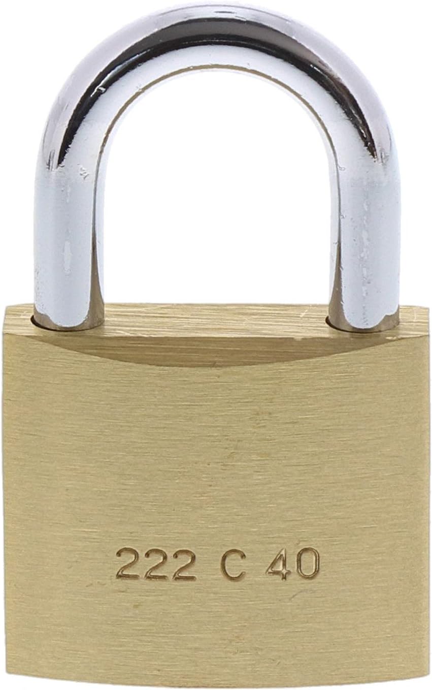 Burg Wächter Vorhängeschloss, 2er-Set, 6 mm Bügelstärke, 4 Schlüssel, Duo 222 40 SB, Messing, Bügels