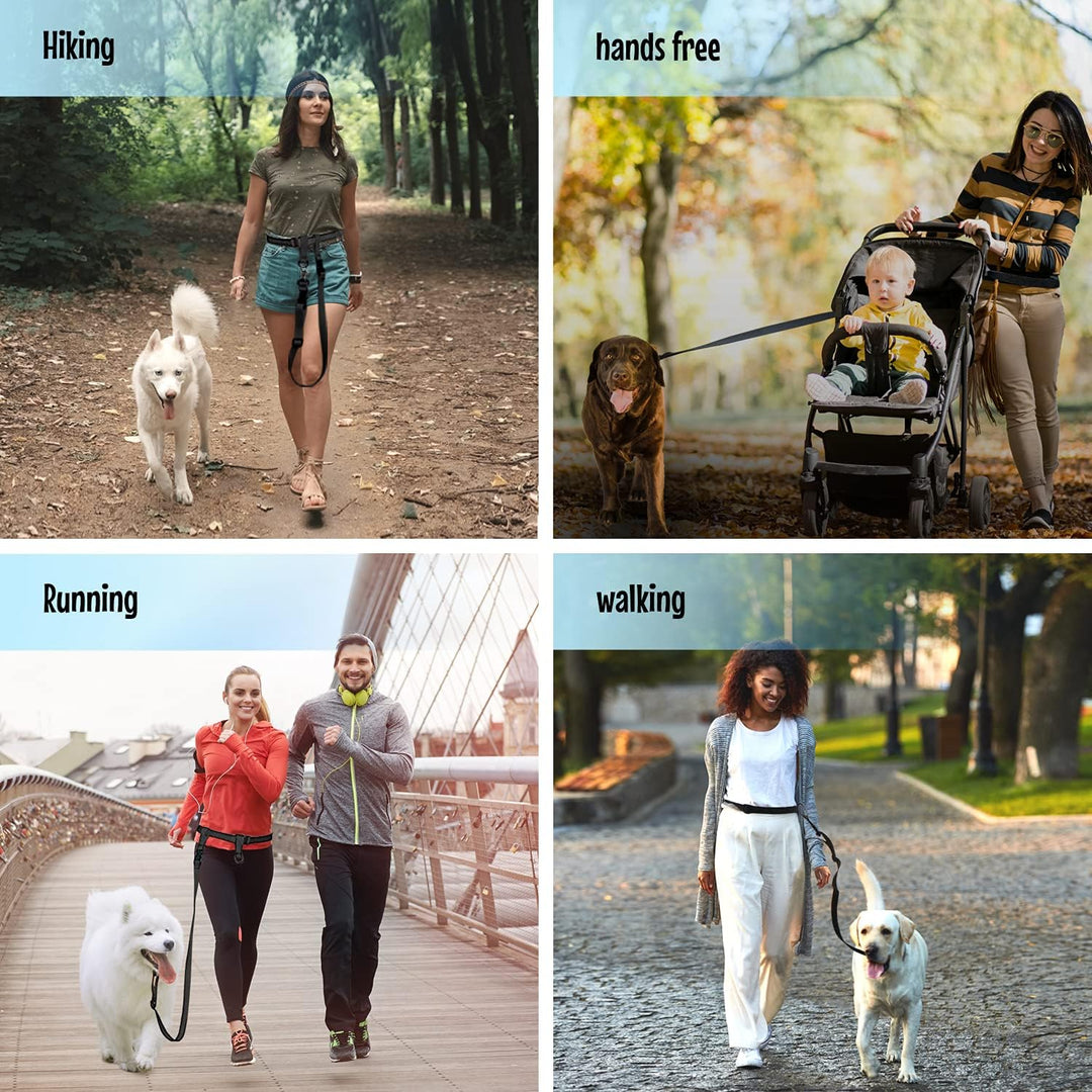 The Buddy System Made in USA Adjustable Hands Free Leash, Great for Running, Regular Dog System, Reg