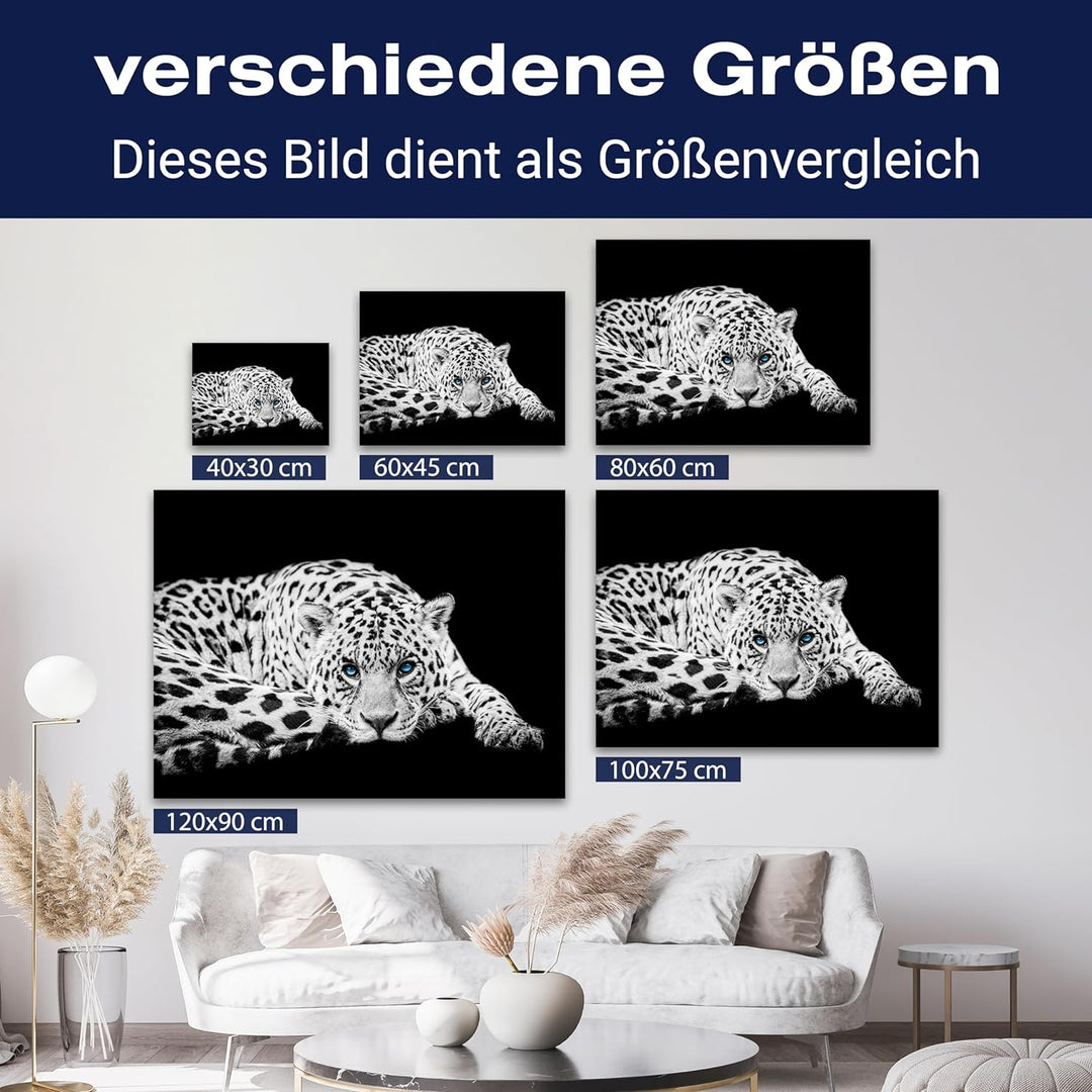 wandmotiv24 Leinwandbild Schwarz-Weiss 80x60cm, Querformat, Leopard, Deko, Bilder auf Leinwand, Wand