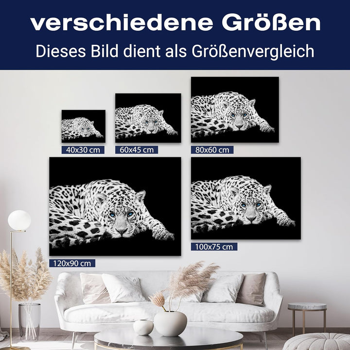 wandmotiv24 Leinwandbild Schwarz-Weiss 80x60cm, Querformat, Leopard, Deko, Bilder auf Leinwand, Wand