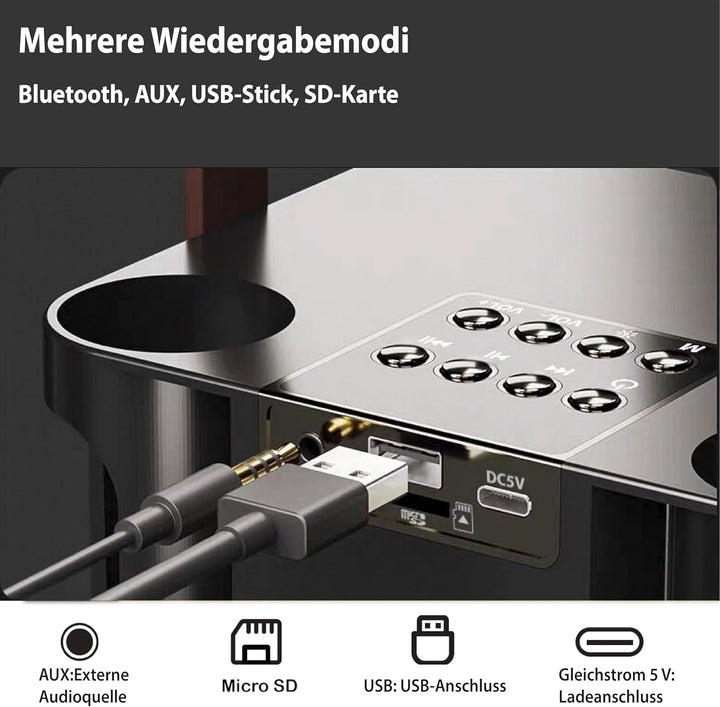 Karaoke Maschine, Karaoke Anlage mit 2 Mikrofonen, Lautsprecher mit Mikrofon, PA-System für Heimpart