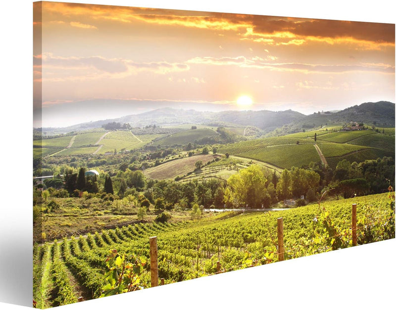 Bild Bilder auf Leinwand Chianti-Weinberglandschaft in Toskana Italien Wandbild, Poster, Leinwandbil