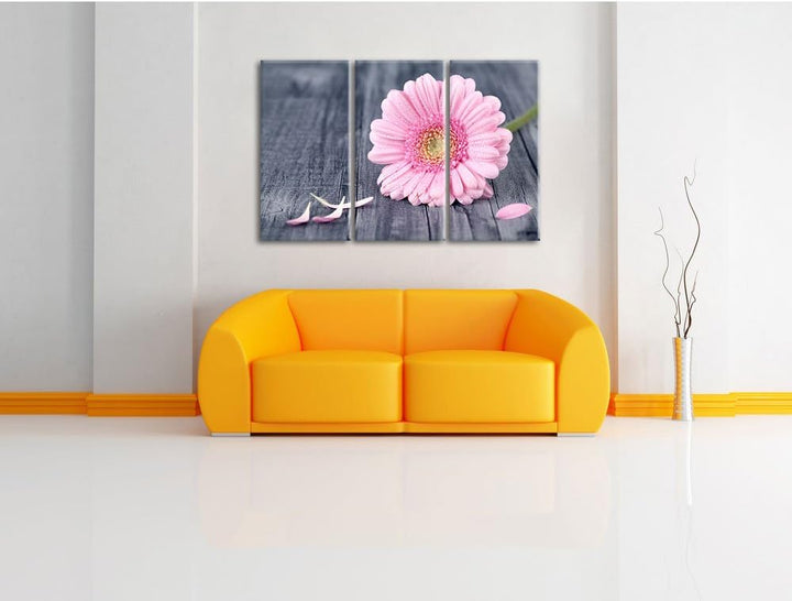 Pixxprint Pinke Gerbera auf rustikalem Boden als Leinwandbild - Grösse: 3-Teilig (120x80cm) - Wandbi