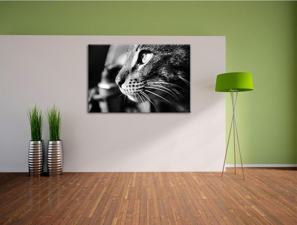 Dark anmutige Katze im Seitenprofilauf Leinwand, XXL riesige Bilder fertig gerahmt mit Keilrahmen, K