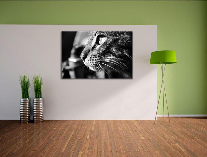 Dark anmutige Katze im Seitenprofilauf Leinwand, XXL riesige Bilder fertig gerahmt mit Keilrahmen, K