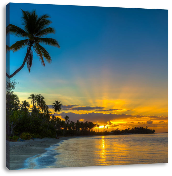 Pixxprint Palmen am Strand, Format: 70x70 als Leinwandbild, tolle Bilder fertig auf Holzrahmen gespa