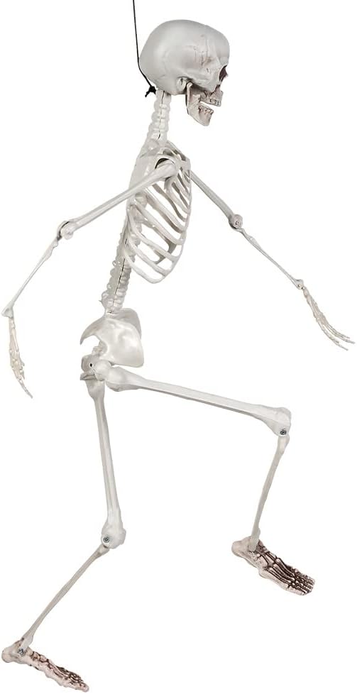 Boland - Dekoration Skelett, 91 cm