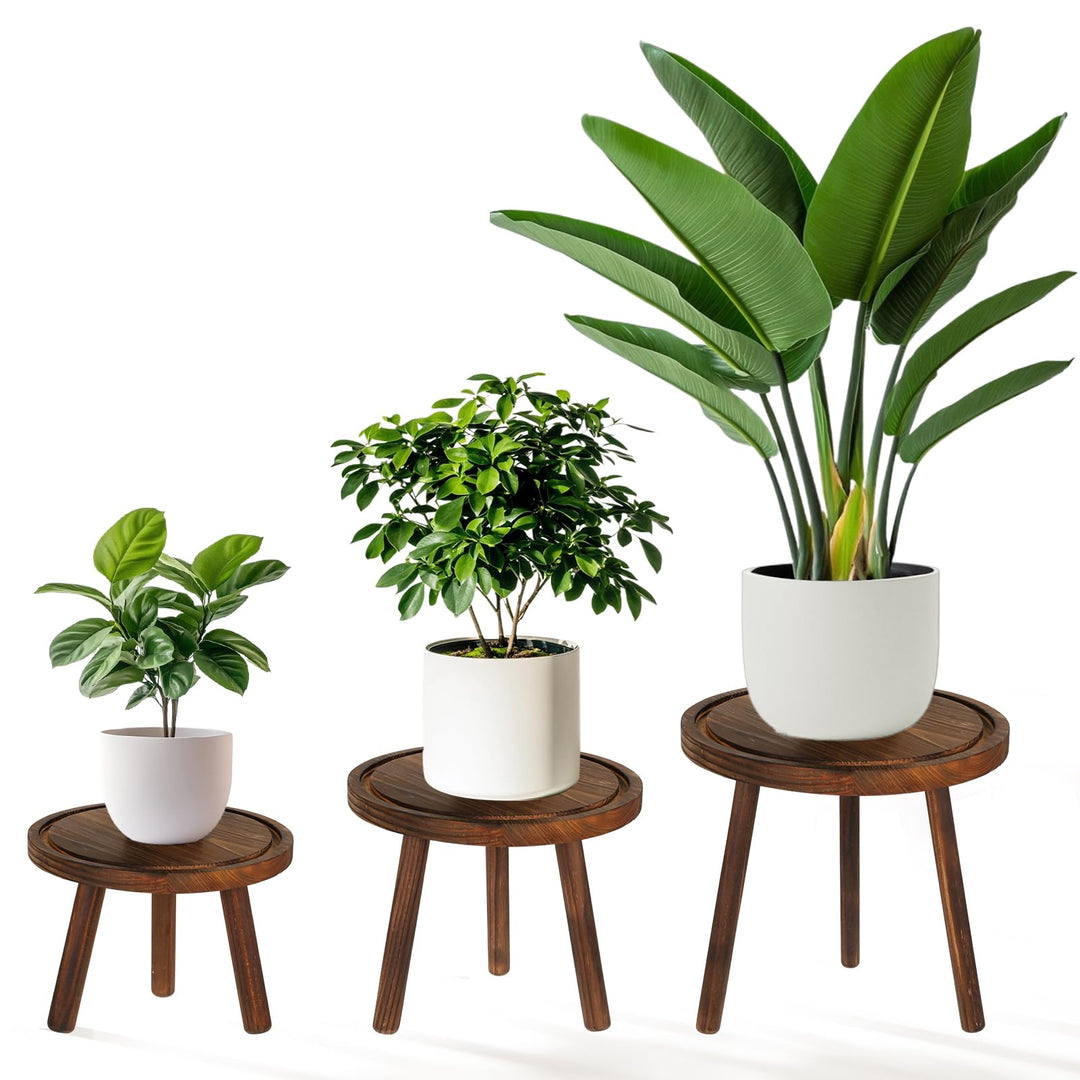 Rainmae Blumenständer 3er Set Ø28/23/20cm Pflanzenständer Pflanzenregal Holz Rund, Stabil & Dekorati