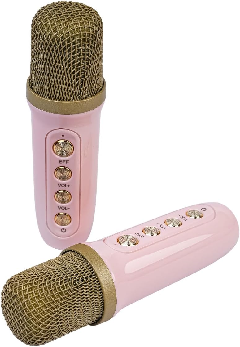 Home Mini-KTV-Set-Audio, kabelloser Bluetooth-Lautsprecher, Mikrofon, Mikrofon-All-In-One-Gerät, Blu