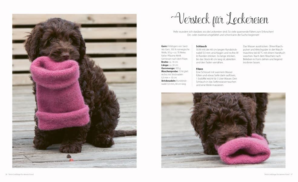 Strickbuch Hund – Strick-Lieblinge für deinen Hund: Kleidung, Accessoires und Spielzeug für fröhlich