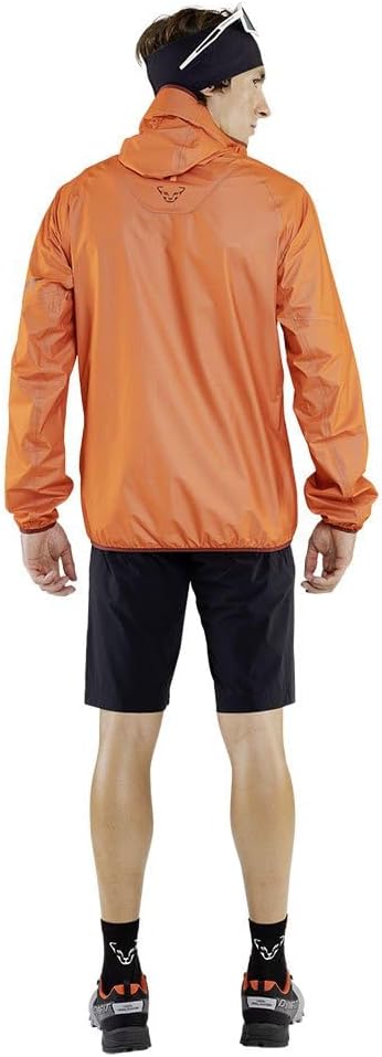 DYNAFIT Herren Traverse GTX JKT M Jacke M Gänseblümchen/1570, M Gänseblümchen/1570
