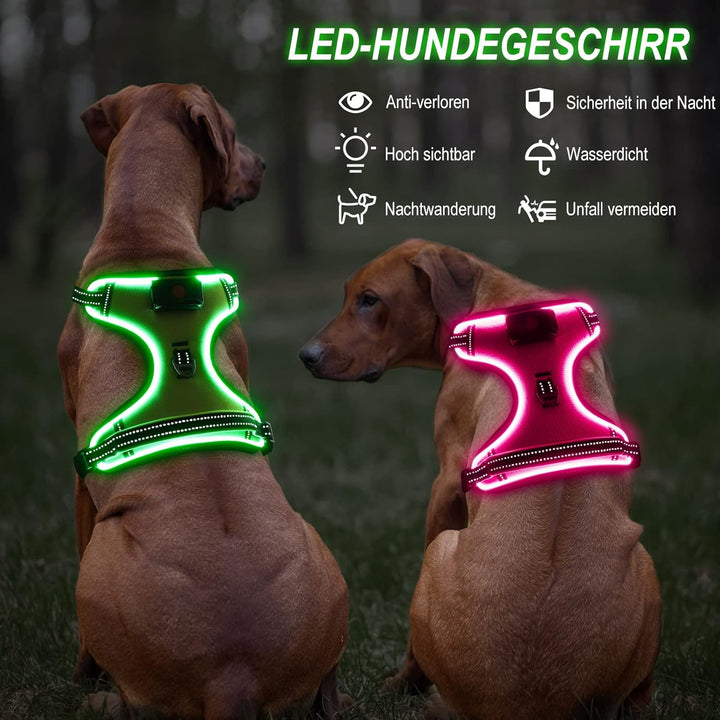 Bpawser Light Up Hundegeschirr LED Hundegeschirr No-Pull mit Griff Wiederaufladbare beleuchtete Hund