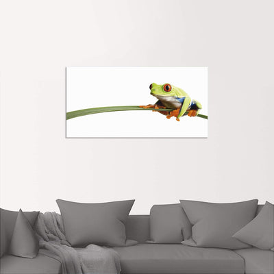 ARTland Wandbild Alu Verbundplatte für Innen & Outdoor Bild 60x30 cm Frosch Tiere Natur Pflanze Blät