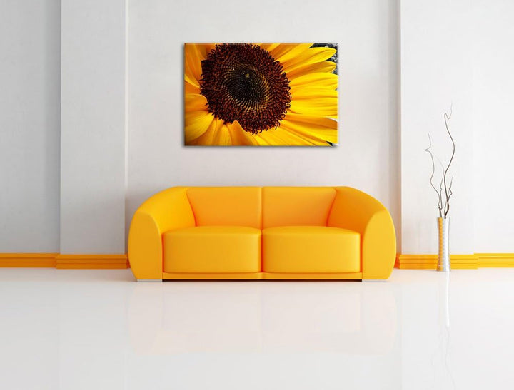 grosse anmutige Sonnenblume schwarz/weiss auf Leinwand, XXL riesige Bilder fertig gerahmt mit Keilra