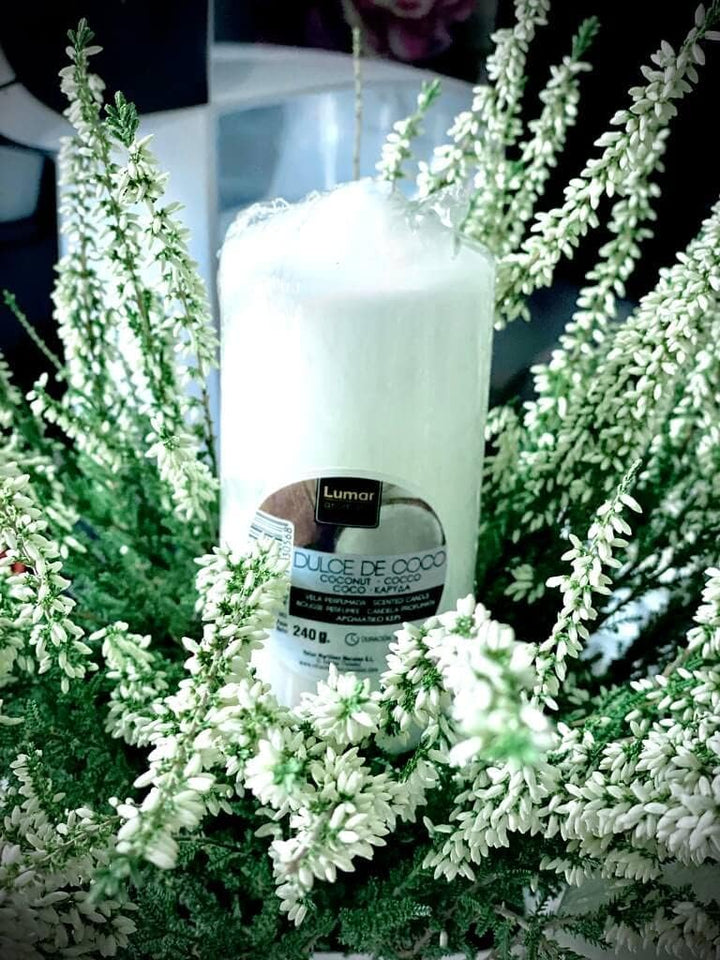 12x Süsse Kokosnuss Duftkerzen Gross XXL 120 x 57 mm - Aromakerzen, Tolle Dauer (34-36 Stunden) und