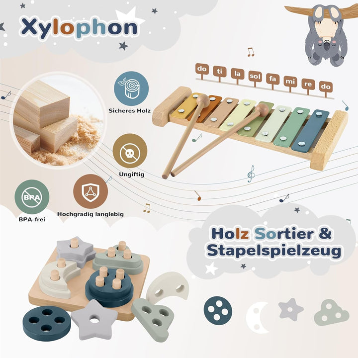 Almaxi Baby Spielzeug ab 6 Monate,5 in 1 Montessori Spielzeug Baby,Motorikspielzeug mit Formensortie