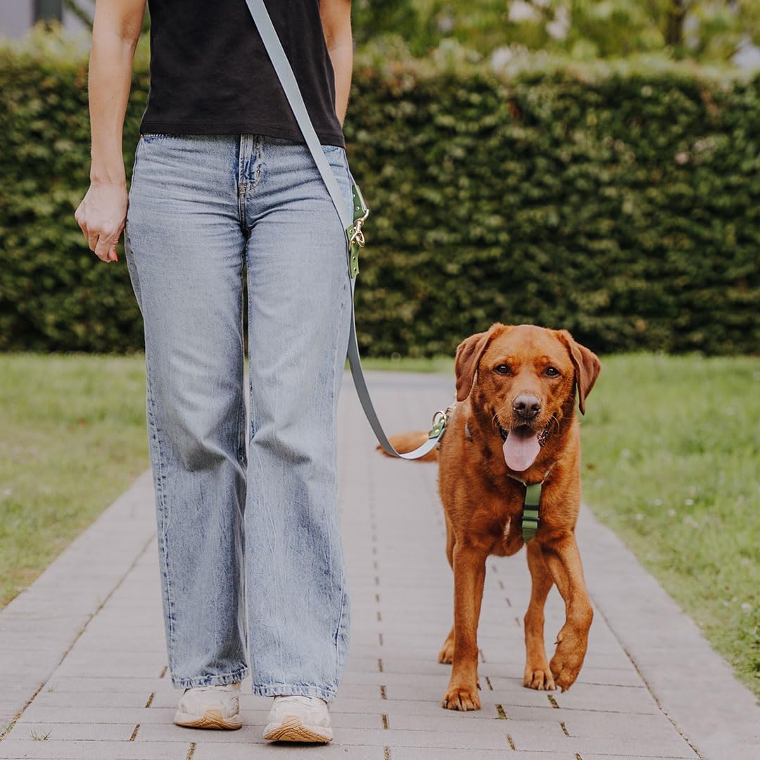 Hundegeschirr Handmade, 5-Fach verstellbar &amp; wasserfest, Made in Germany, kleine bis sehr grosse Hun