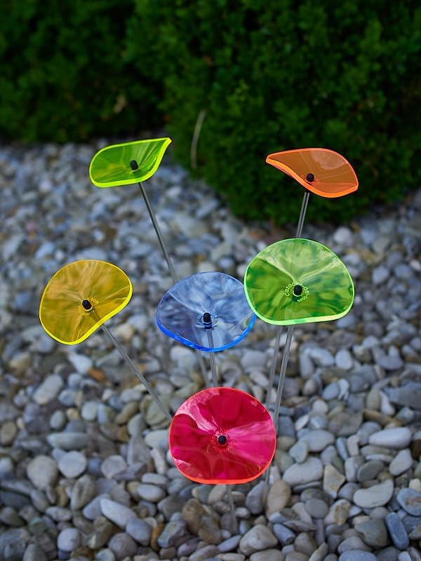 Cazador-del-sol ® - das Original | Lucille | 6 Stück | geschwungener Sonnenstrauss kunterbunt | Durc
