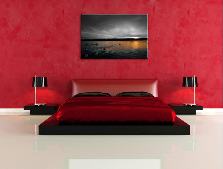Weisse Schwäne im Sonnenuntergang schwarz/weiss Format: 100x70 auf Leinwand, XXL riesige Bilder fert