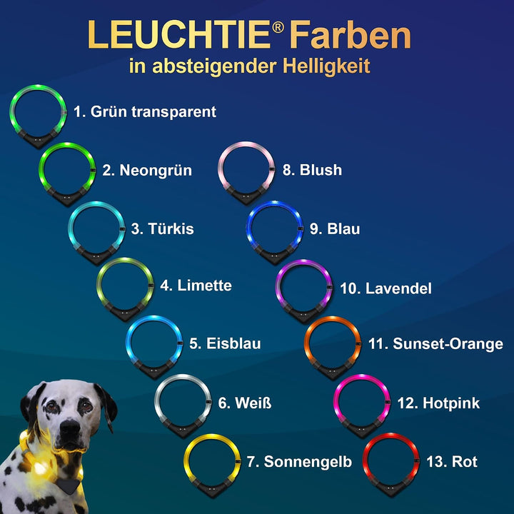 LEUCHTIE® Easy Charge Leuchthalsband Hund aufladbar, wasserdichtes LED Halsband, Leuchtband für Hund