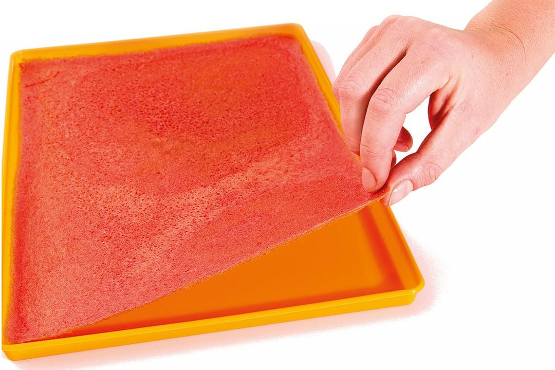 Tauro Essiccatori, Silidrop Antihaft-Behälter für Lebensmittel, aus Platinum-Silikon, wiederverwendb