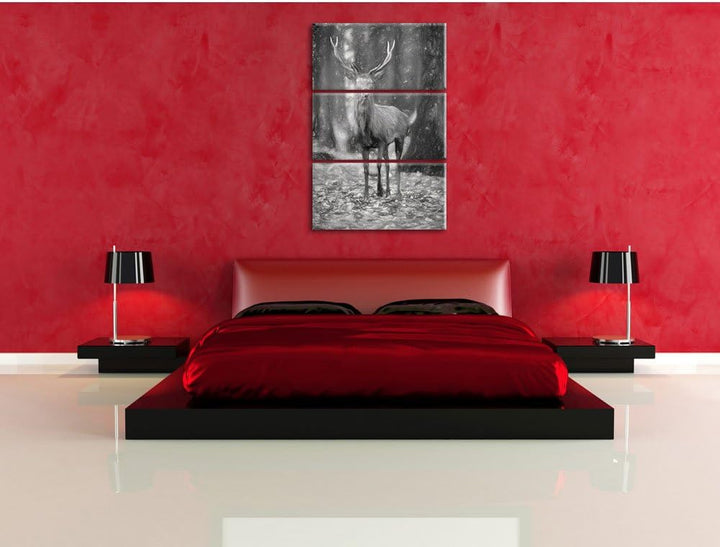 Pixxprint Schöner Hirsch im Wald als Leinwandbild/Grösse: 3 Teilig (120x80) cm/Wandbild/Kunstdruck/f