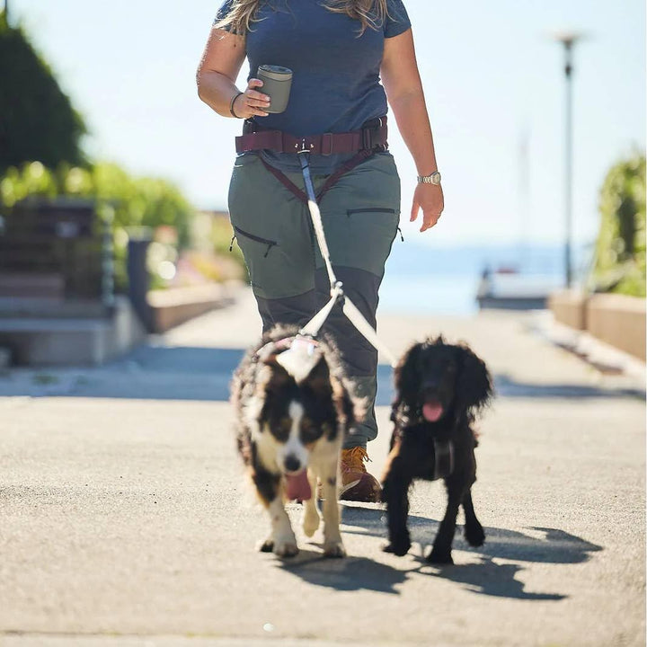 Non-stop dogwear Trekking-Belt 2.0 |122| Allrounder - Dogtrekking und Wander-Gürtel, Farbe:Schwarz,
