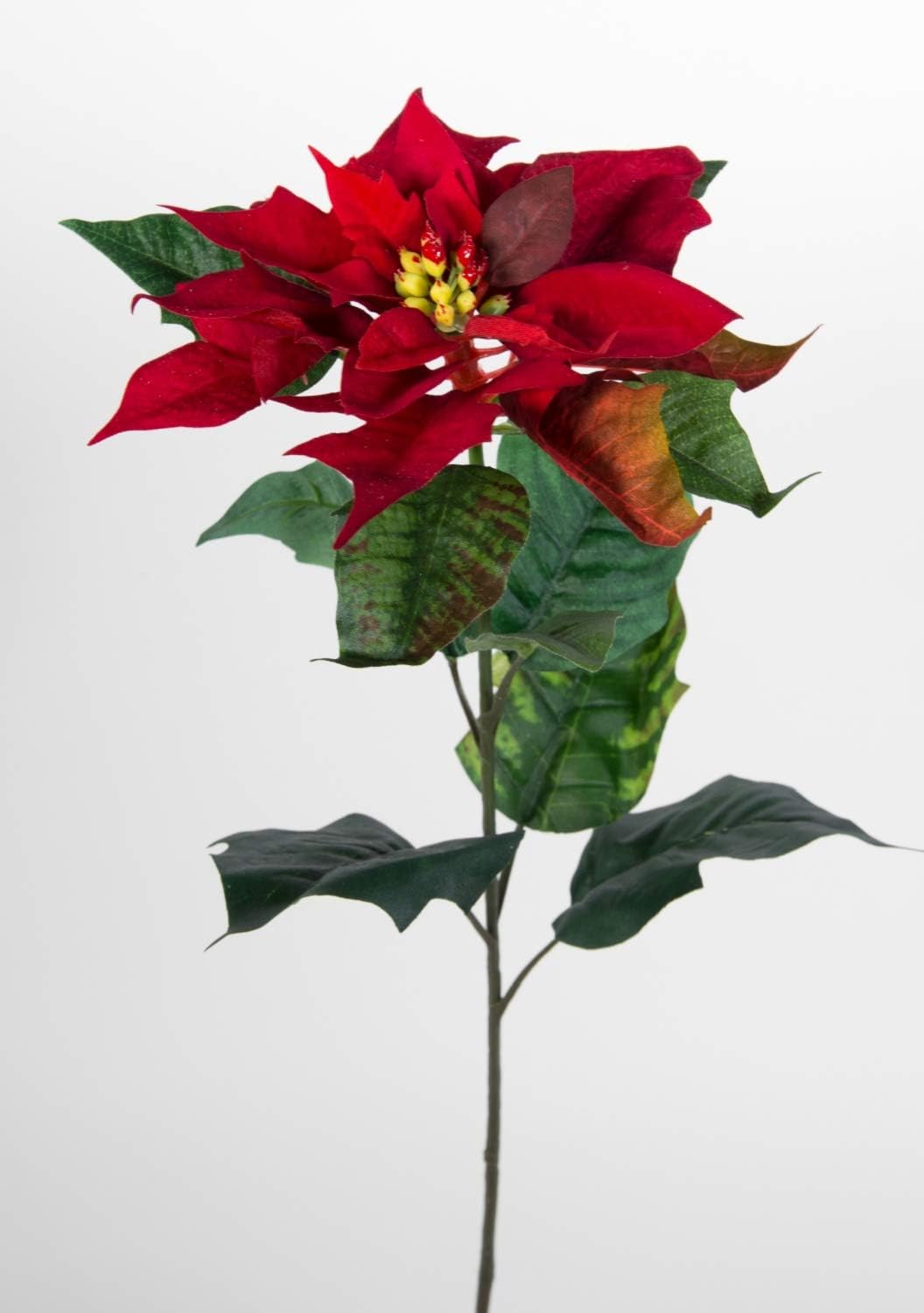 Seidenblumen Ross 12 Stück Weihnachtsstern Natura 72cm samt-rot PM Kunstblumen künstliche Blumen Poi