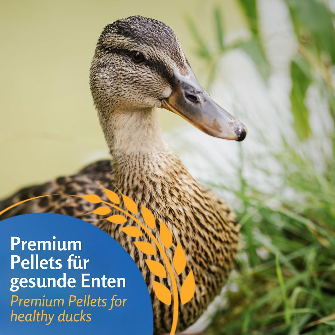 Leimüller Entenfutter Pellets Premiumqualität 25 kg - Vogelfutter für Ente, Gänse, Laufente - Gänsef