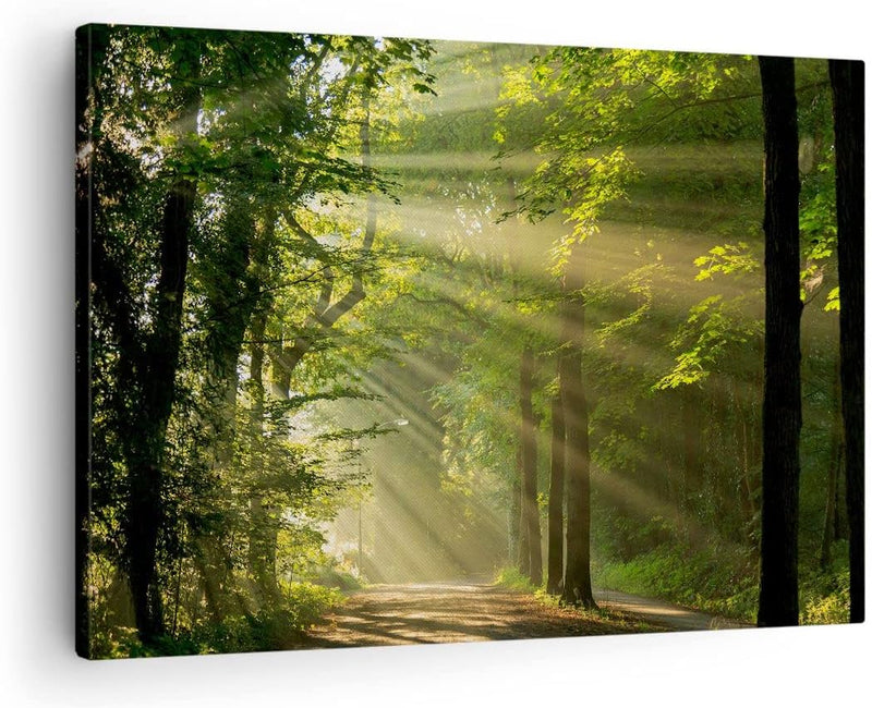 Bilder auf Leinwand Wald Baum Natur Leinwandbild mit Rahmen 70x50cm Wandbilder Dekoration Wohnzimmer