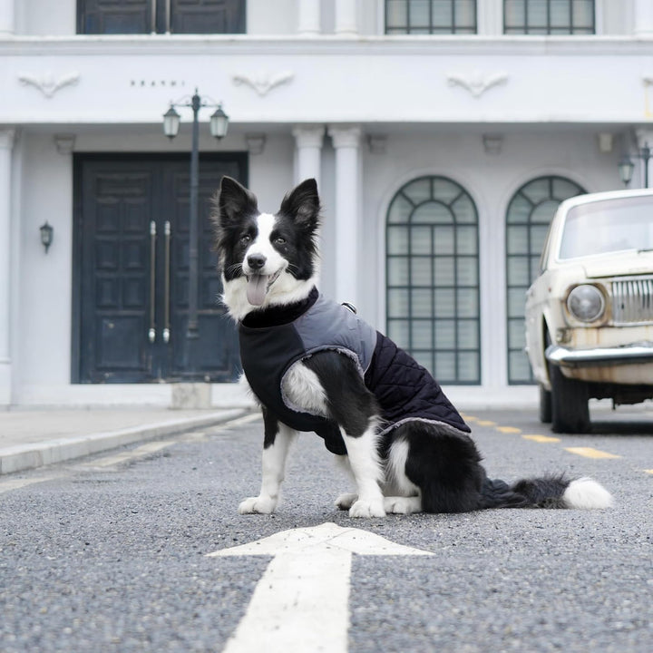 Warmer Fleece-Hundemantel für kleine Hunde, D-Ringe, wasserdichte Welpenjacke für den kalten Winter,