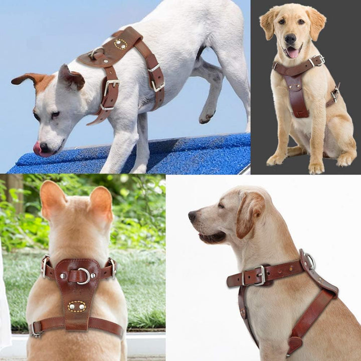 Beirui Hundegeschirr aus echtem Leder, kein Entkommen für kleine und mittelgrosse Hunde, Haustier-Tr