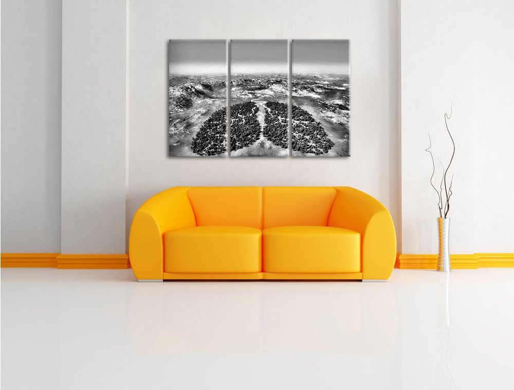 Pixxprint Grüne Lunge der Natur als Leinwandbild/Grösse: 3 Teilig (120x80) cm/Wandbild/Kunstdruck/fe