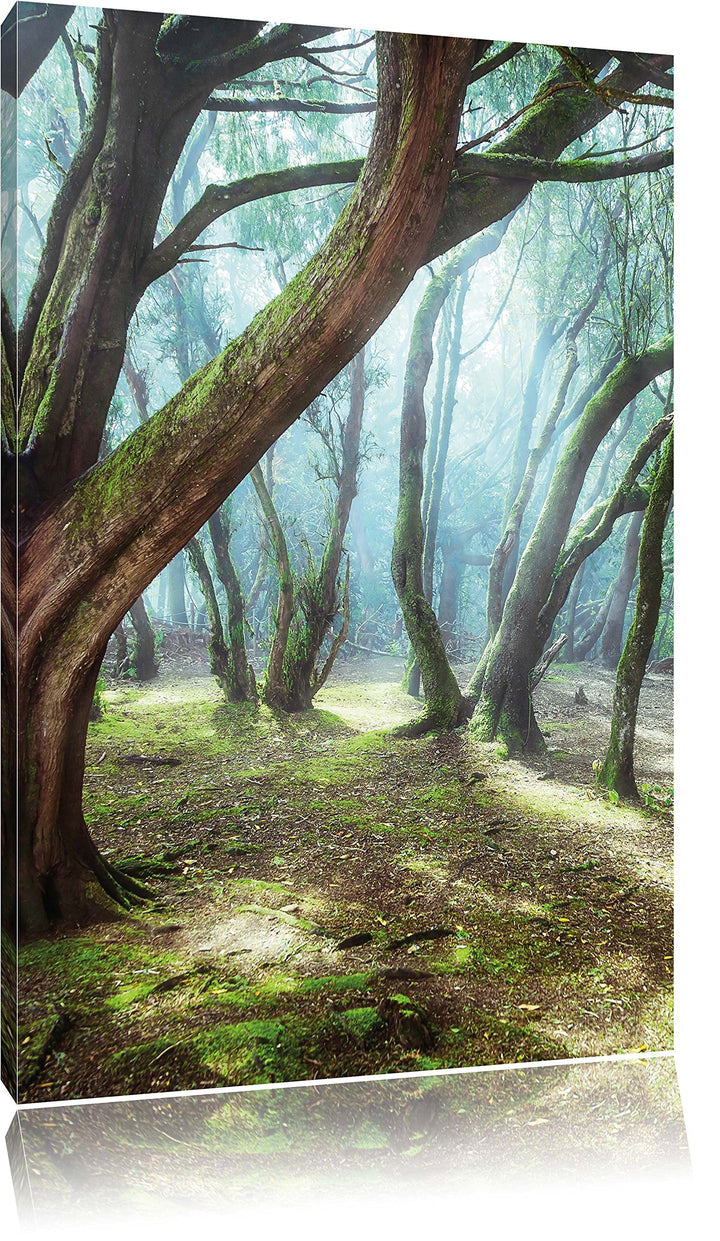 Pixxprint Wald, Format: 100x70 auf Leinwand, XXL riesige Bilder fertig gerahmt mit Keilrahmen, Kunst
