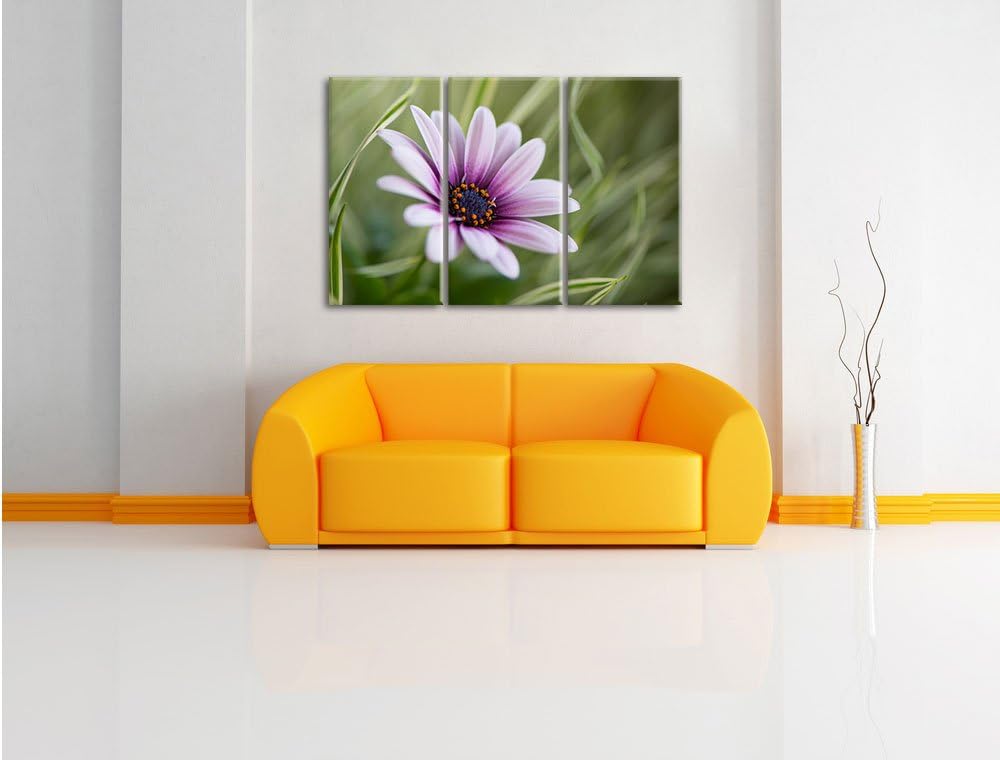 Pixxprint Blume in der Natur als Leinwandbild - Grösse: 3-Teilig (120x80cm) - Wandbild - Kunstdruck