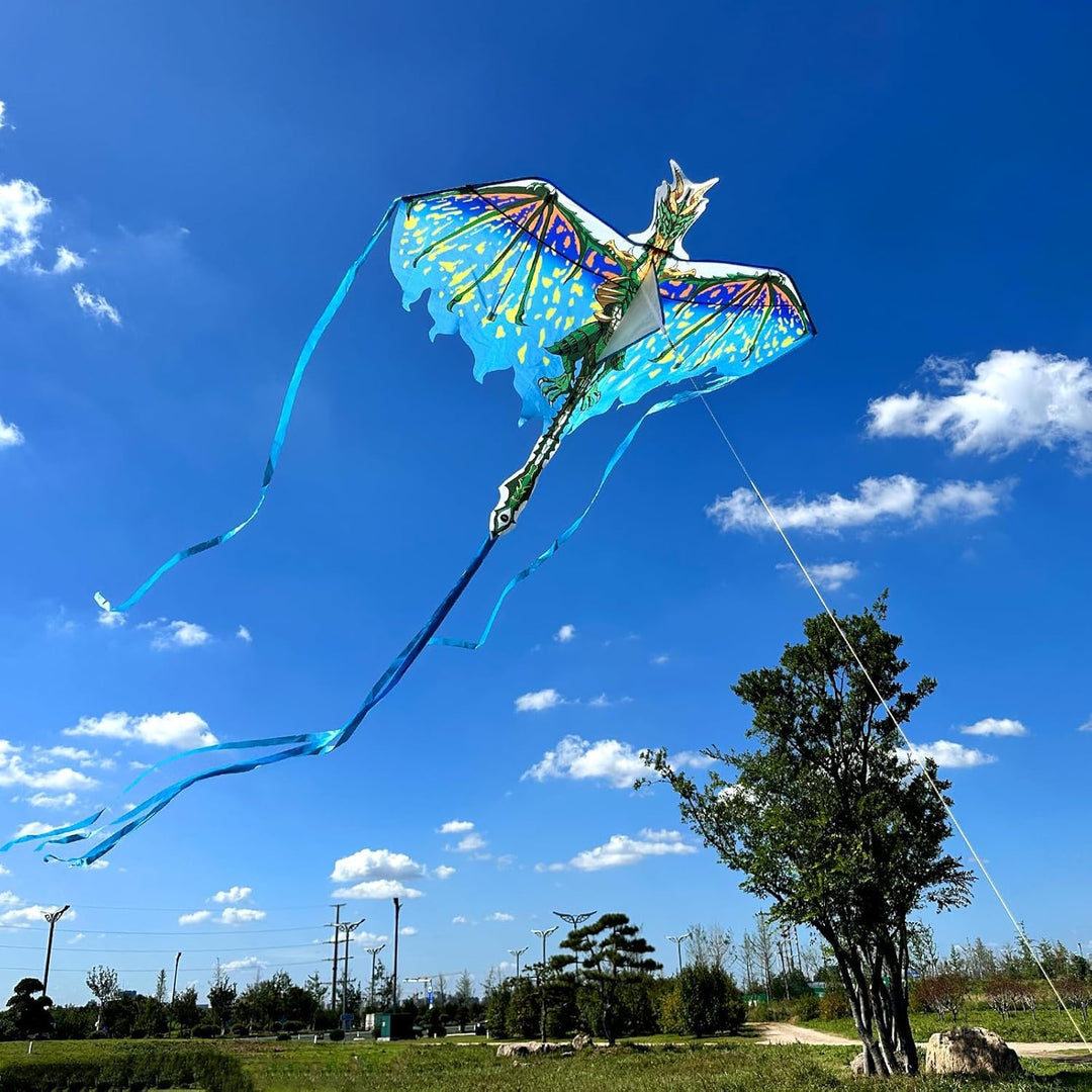 Mint's Colorful Life Drachen Drache für Kinder Erwachsene, einleiner flugdrachen Bester Gross Beach