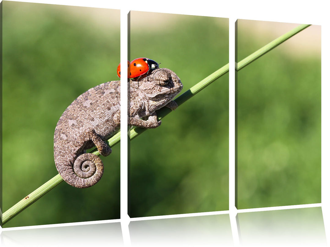 Pixxprint Süsser Gecko mit einem Marienkäfer als Leinwandbild | Grösse: 3 Teilig (120x80) | Wandbild