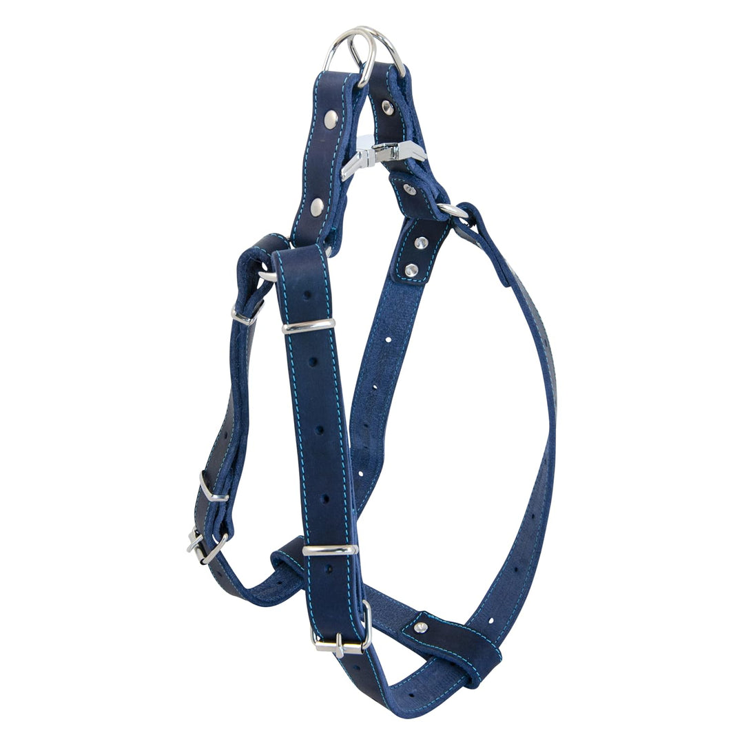 JACK AND VANILLA, Robustes Ledergeschirr für Hunde, individuelle Passform 40–60 cm, Blaue Farbe, opt