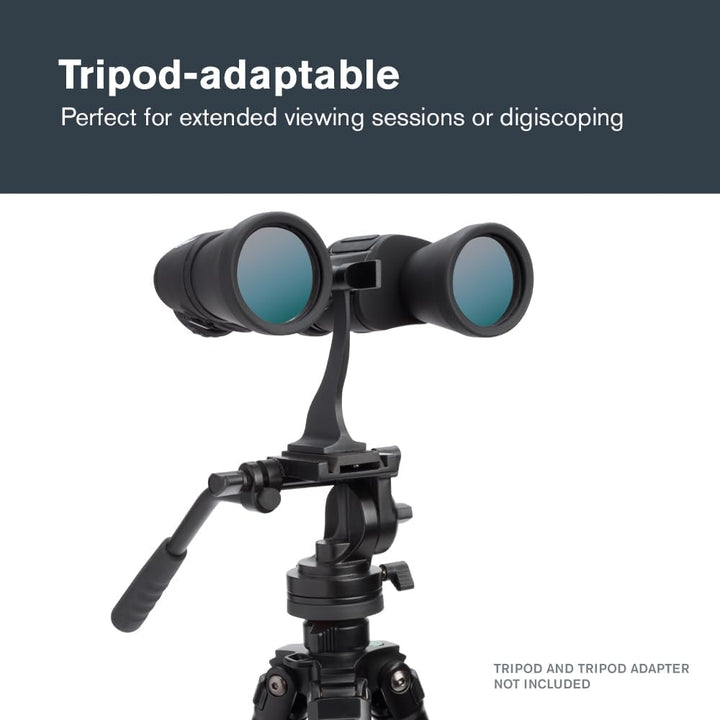 Celestron 71198 Cometron 7x50 Porroprismenfernglas, Schwarz Cometron 7 x 50 Porroprisma Einzeln, Com