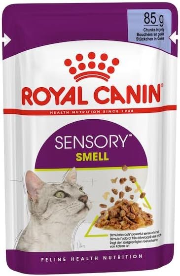 Royal Canin Sensory Smell Jelly | Doppelpack | 2 x 12 x 85 g | Nassfutter für ausgewachsene Katzen |