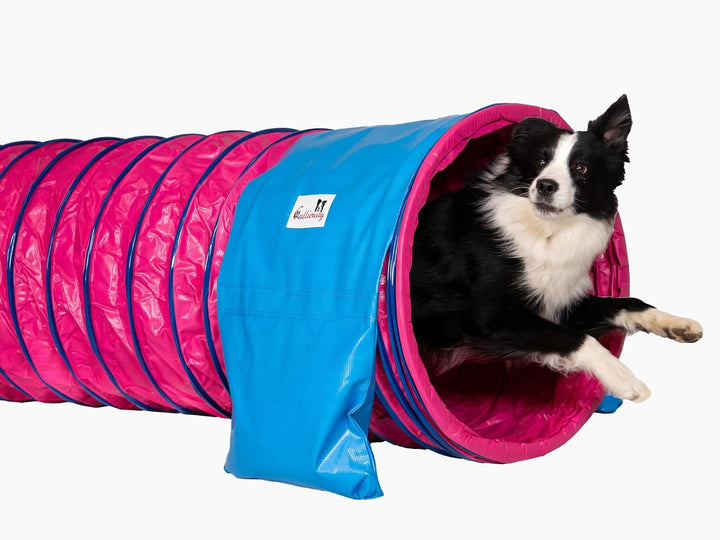 Callieway® Dog Agility Tunnel Profi Hunde Tunnel Agility Gerät (Stützsandsäcke bereits inklusive) (F