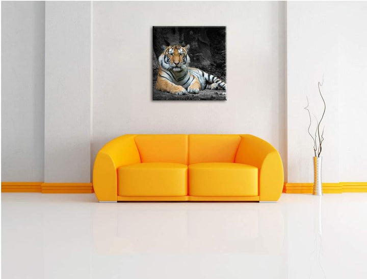 ruhender Löwe schwarz/weiss, Format: 70x70 auf Leinwand, XXL riesige Bilder fertig gerahmt mit Keilr