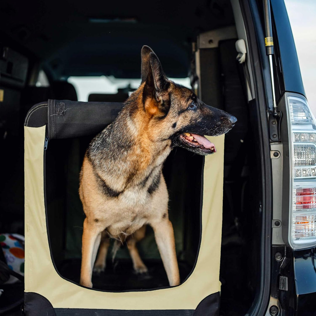 Fudajo Faltbare Transportbox für Hunde, Katzen XXXL (100x69x69cm), robust, leicht, sicher, Hundebox