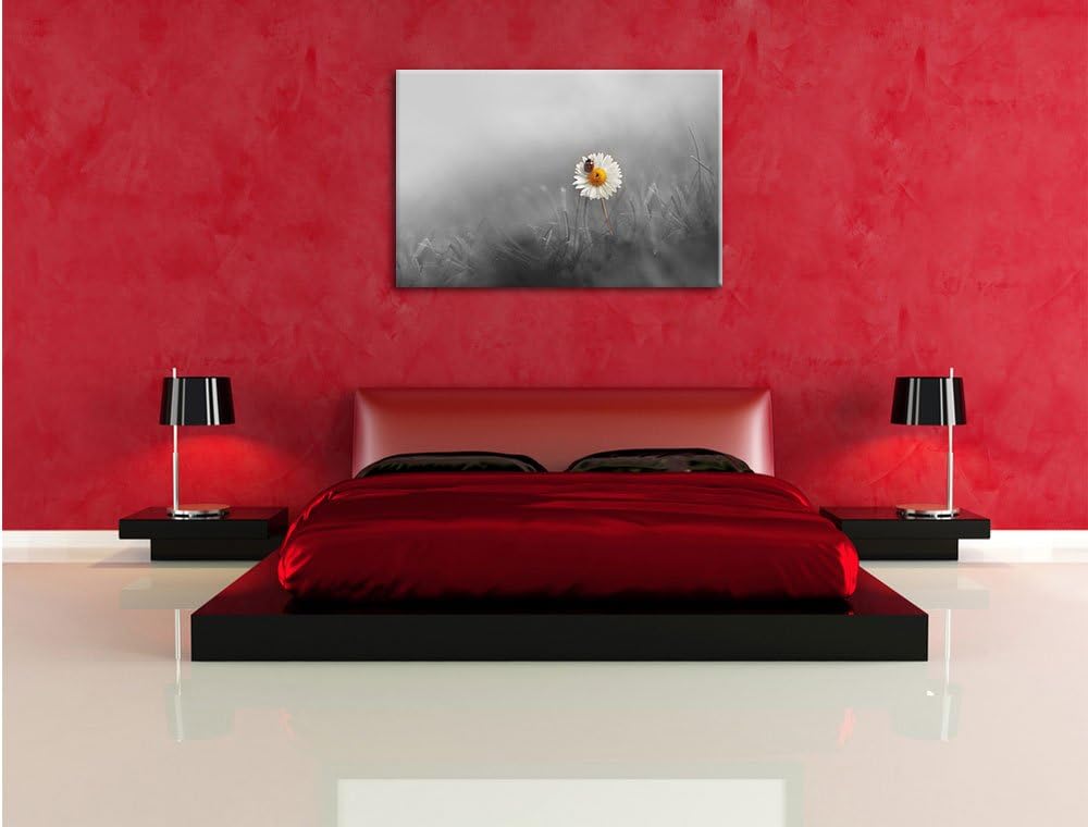 Pixxprint Gänseblümchen Marienkäfer als Leinwandbild/Grösse: 100x70 / Wandbild/Kunstdruck/fertig bes